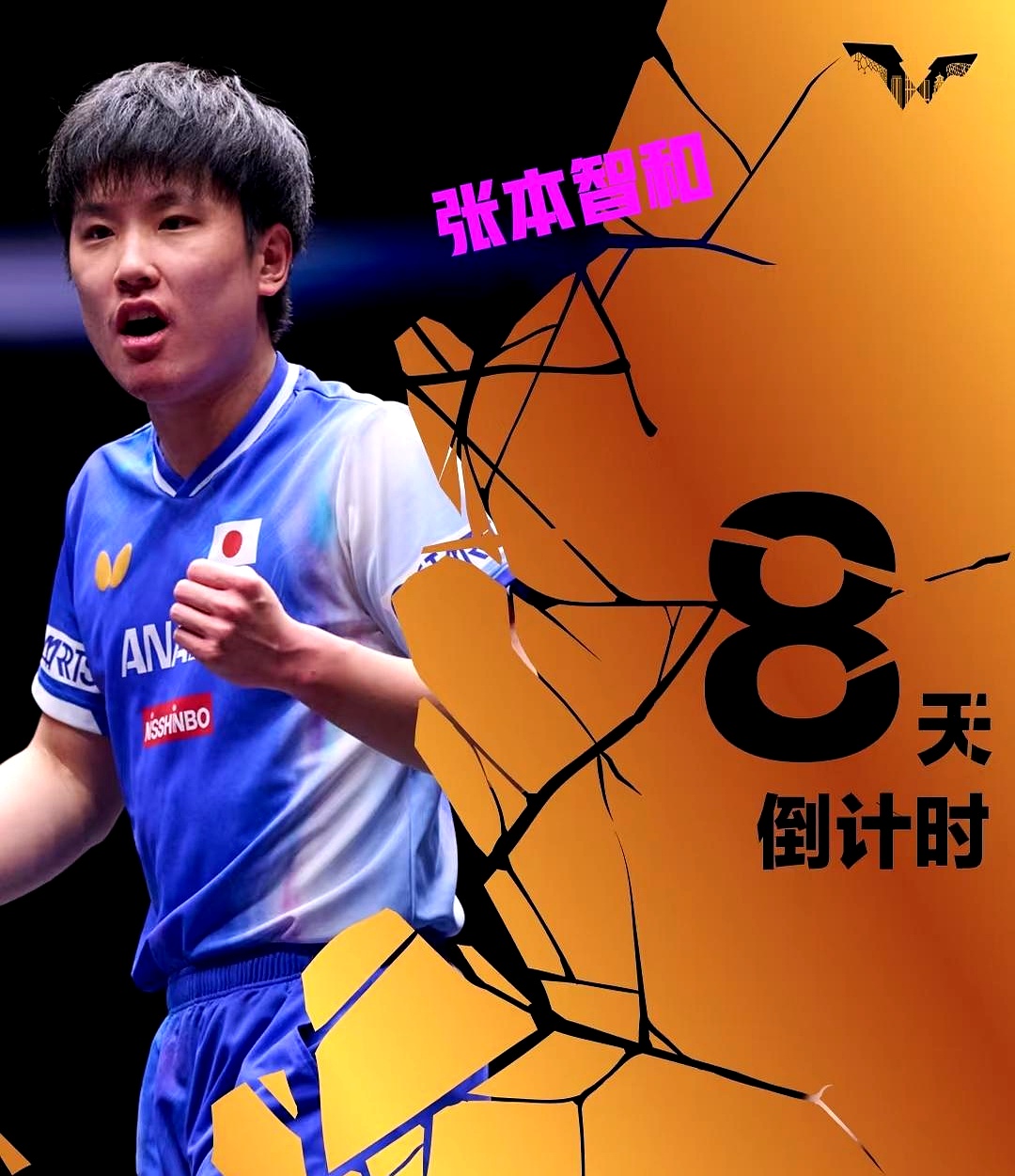 金年会app-包含赛地聚焦——全明星赛转会期热度飙升；武汉三镇再遭质疑；目标明确；阵容厚度经受考验的词条